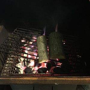 image.jpeg