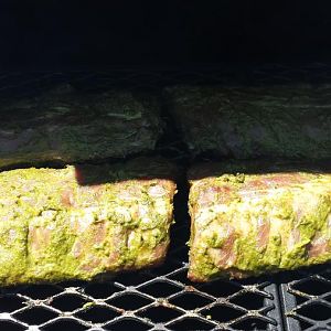 20160515_143557.jpg