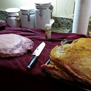 20151023_121544.jpg