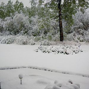 P1050162.JPG