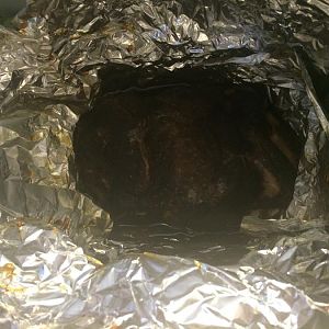 Photo May 23, 12 08 13 PM.jpg