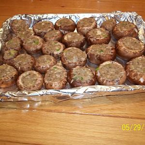 100_4216.JPG