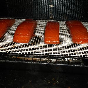 Atl Sal in the smoker 003.JPG