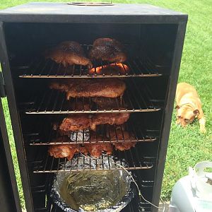 IMG_1538.JPG