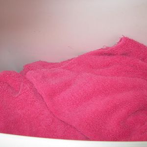IMG_3420.JPG