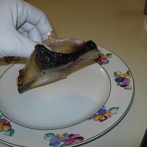 IMG_3434.JPG