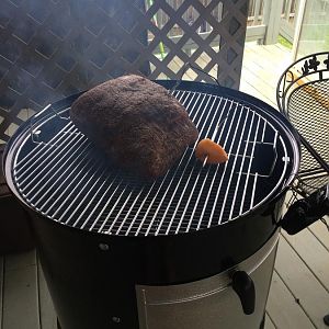 image.jpeg