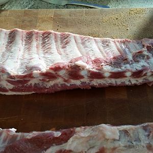 Ribs 3.jpg