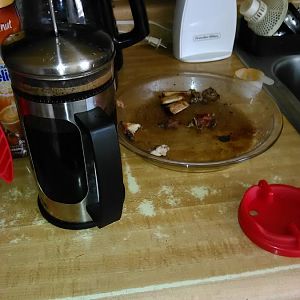 IMG_20160616_093729.jpg