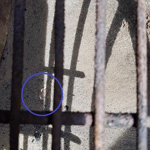 The crack.jpg