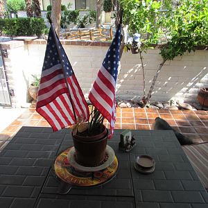 IMG_6388.JPG
