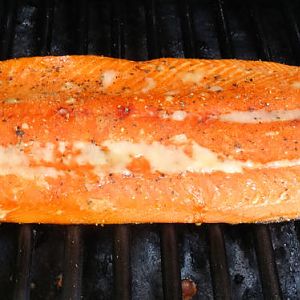 Salmon3.jpg