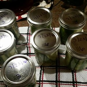 20160723_004658_resized.jpg