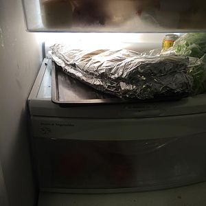 Photo Jul 22, 19 52 13.jpg