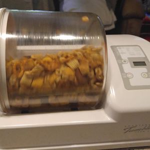 chex17.jpg