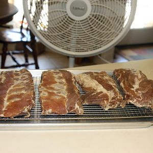 IMG_2446.JPG