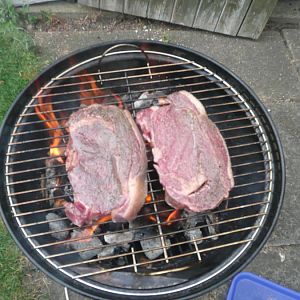 P1010379.JPG