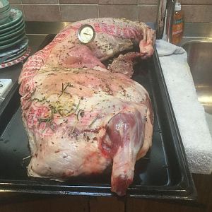 image.jpeg