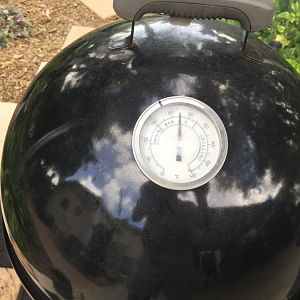 8-5-16 16.JPG