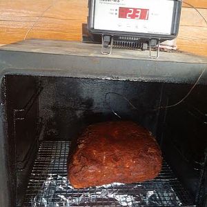 Butt Aug 2016-2.JPG