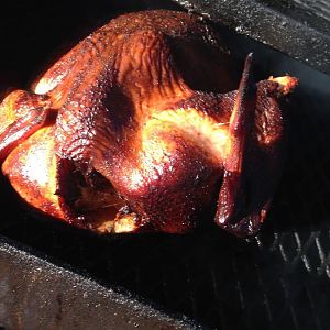 2015-11-25 08.11.32 (laptop's conflicted copy 2015