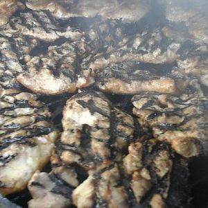 2016-02-23 17.13.53.jpg