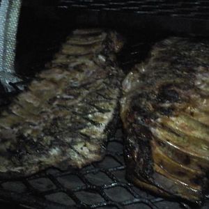 2016-03-12 19.23.13.jpg