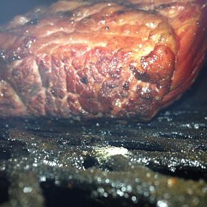 2016-03-26 23.58.41.jpg