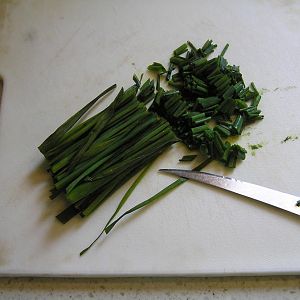 P1010007.JPG