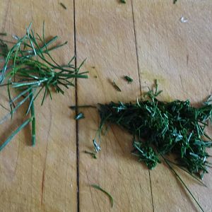 Summer Potatoes 1.jpg