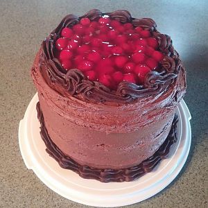 Chocolate Cake-6.JPG