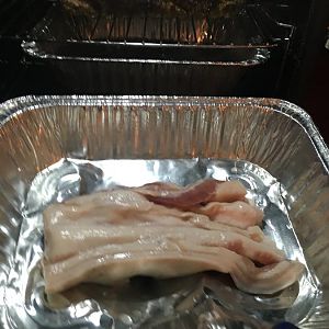 IMG_1550.jpg