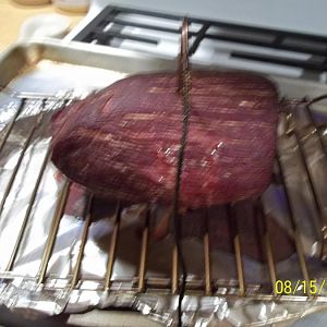 100_4493.JPG