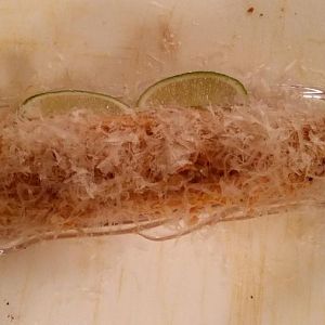 Smoked corn 9.jpg