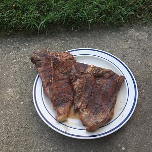 IMG_0165.JPG