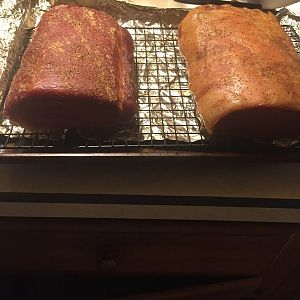 IMG_1387.JPG