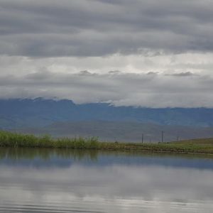 DSC_0178.jpg