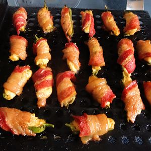 Shrimpy 05.jpg