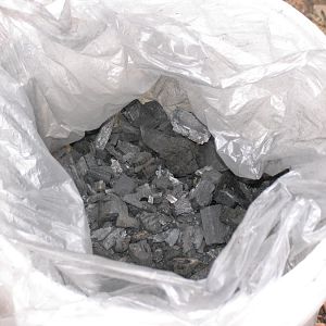 20101025075.jpg