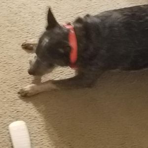20160911_201938.jpg