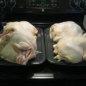 brined birds.JPG