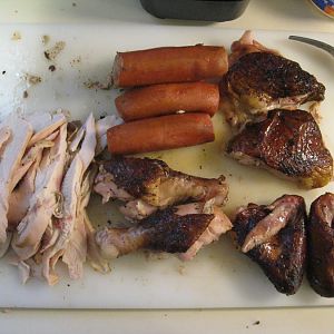 processed bird.JPG