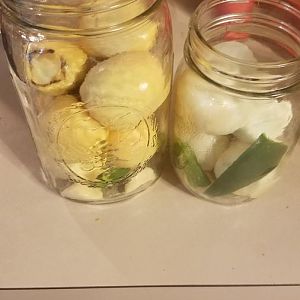 20160922_164533.jpg