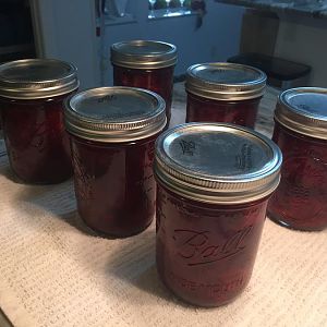 9-30-16 3.JPG