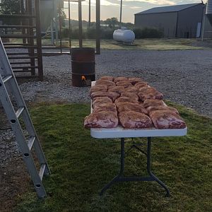 20161001_080434.jpg