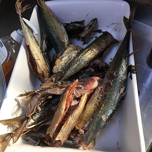 IMG_0121.JPG