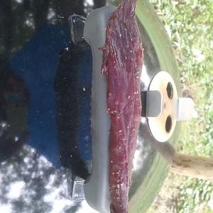 20161002_153325.jpg