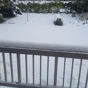 20161007_084041.jpg