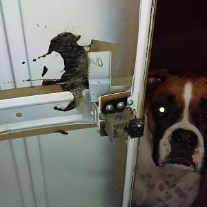 Handle.jpg