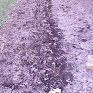 20161011_182901.jpg